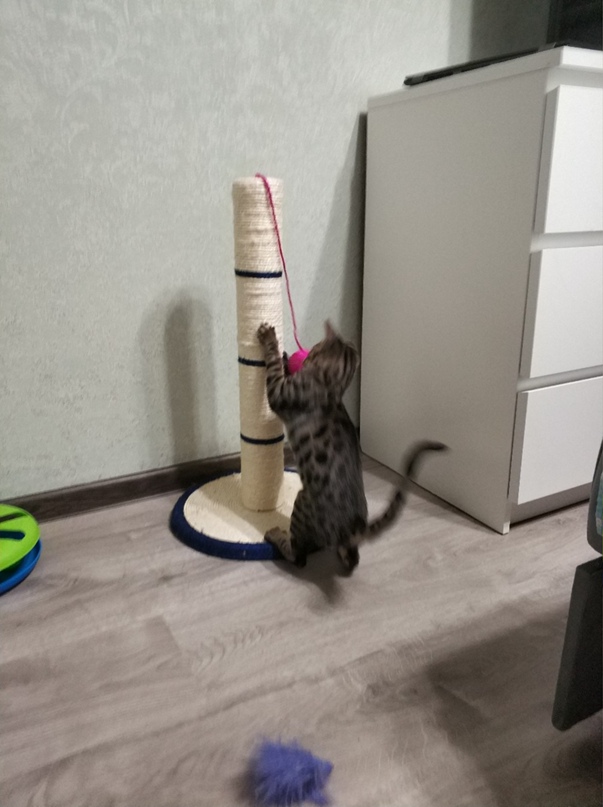 Дмитрий Ежов | Москва