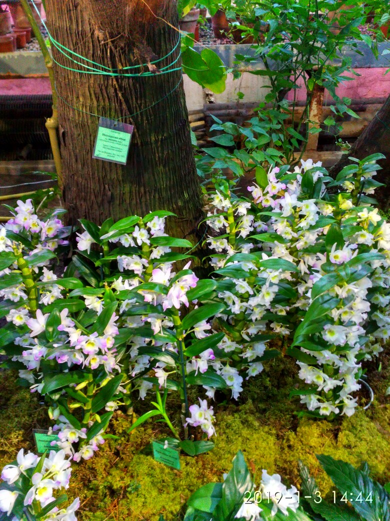 Яна Позднякова | Санкт-Петербург