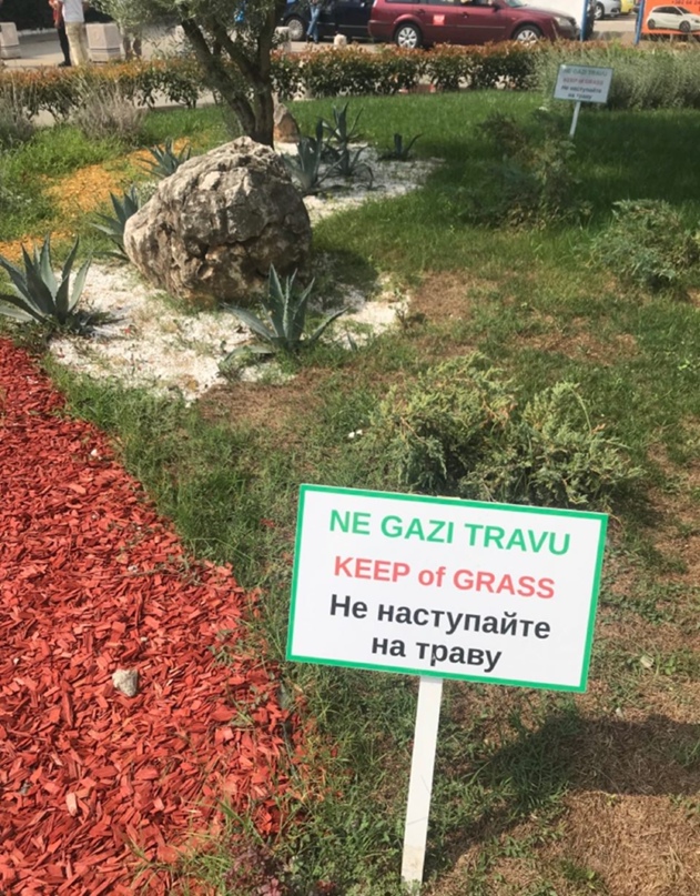 Дарья Великанова | Санкт-Петербург