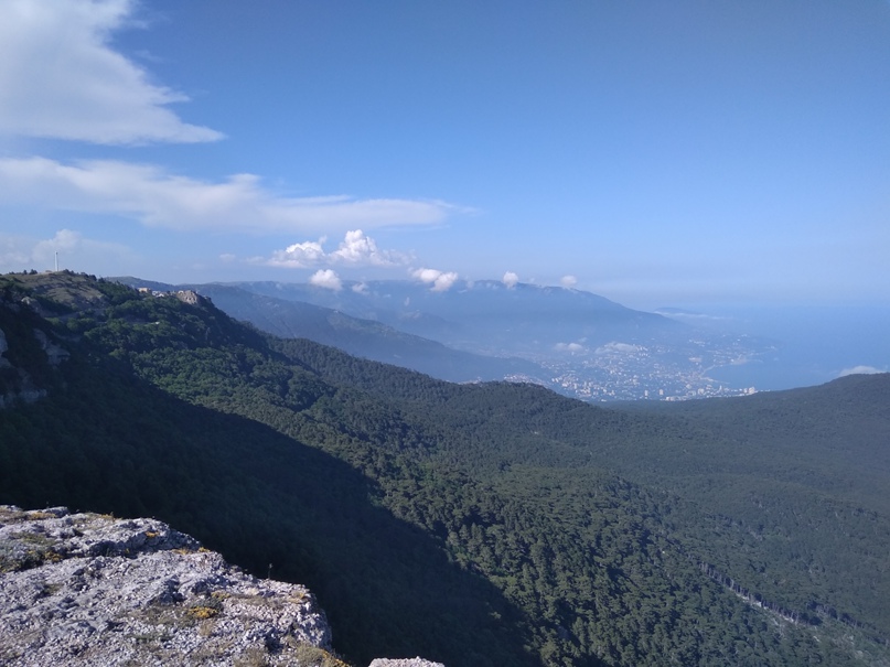 Михаил Савельев |