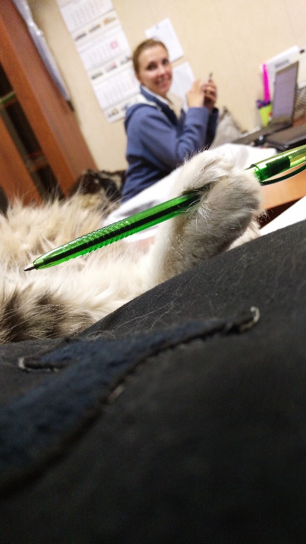 Александр Мильков | Архангельск