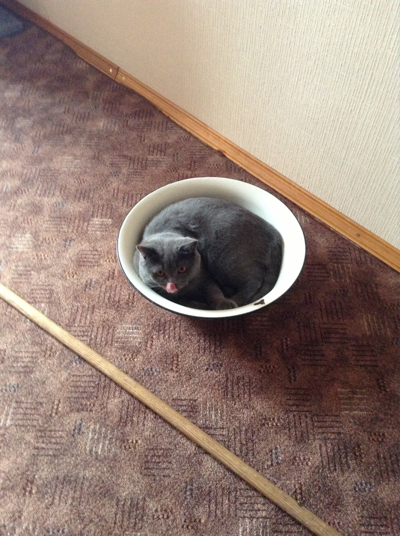 Андрей Веков | Черкассы