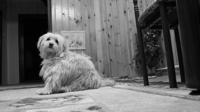 Мария Хитрова | Иркутск