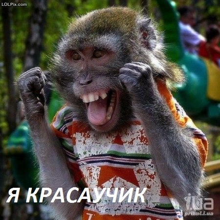 Андрей Филипповский | Санкт-Петербург