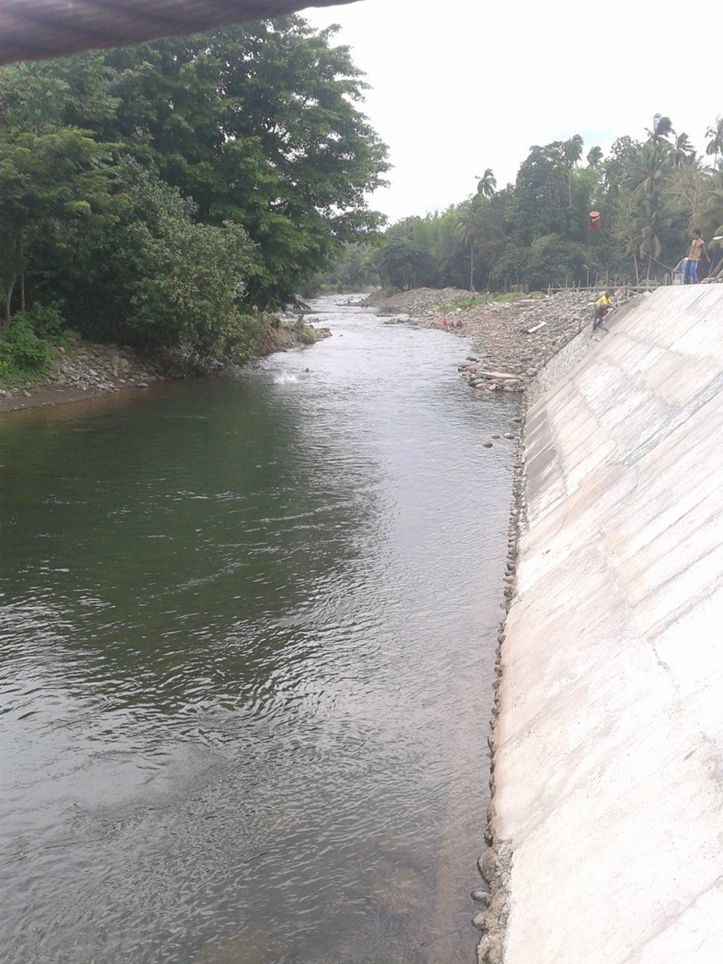 Евгений Романов | Санкт-Петербург