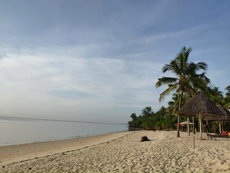 Дмитрий Елфимов | Волгоград