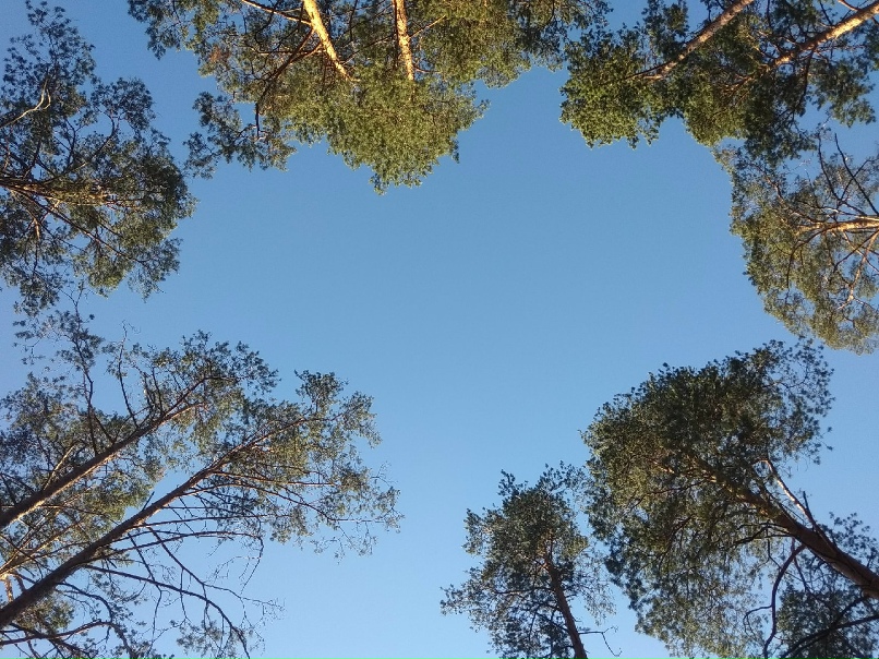 Рина Кравченко ‡Арима‡ | Санкт-Петербург