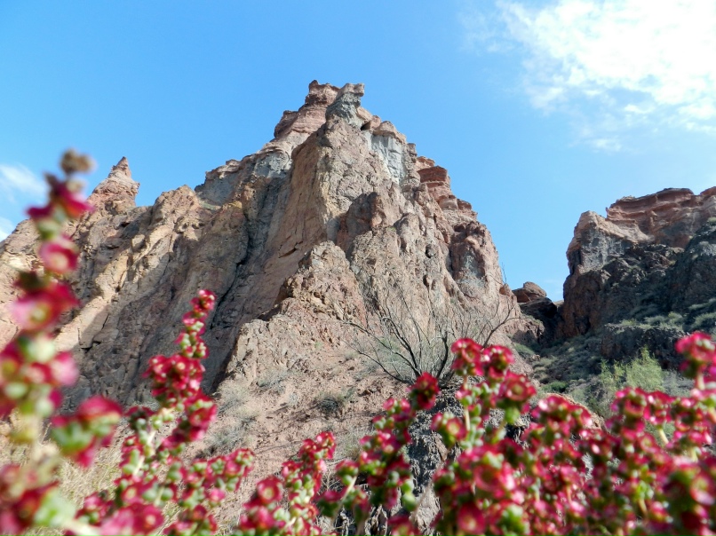 Татьяна Решетникова | Алматы