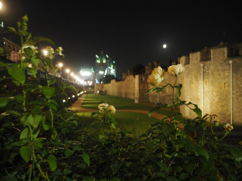 Юлия Мешкова | Санкт-Петербург