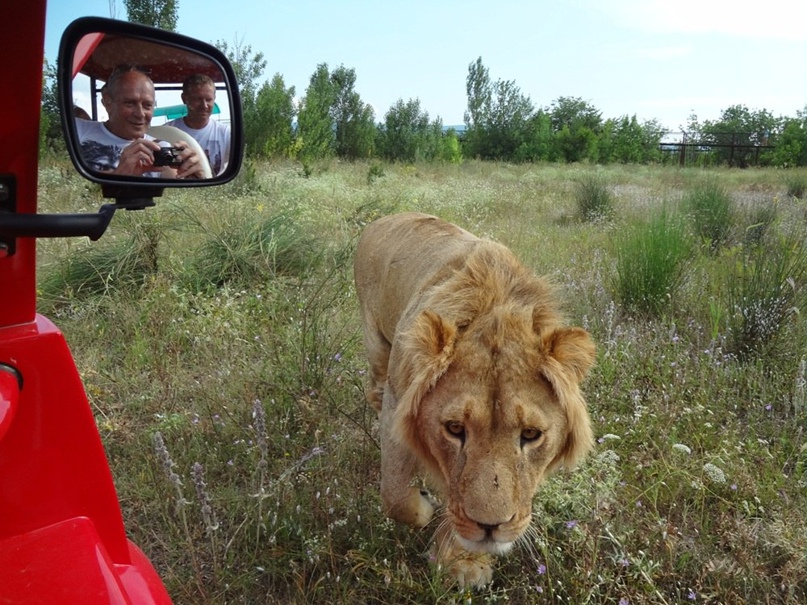 Дмитрий Скобелев | Омск