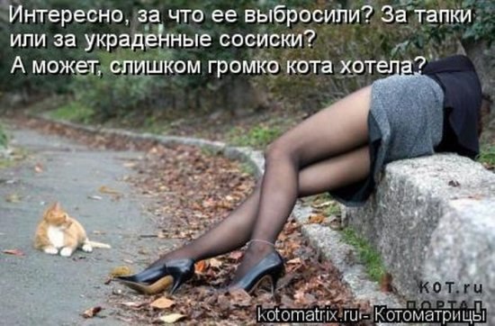 Екатерина Голубовская | Киев