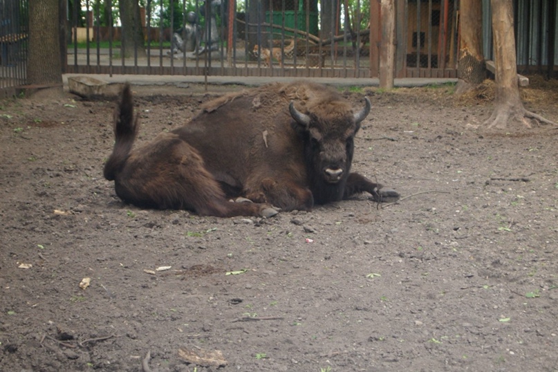 Екатерина Киселёва | Смоленск