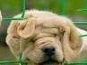 Татьяна Поташева | Вышний Волочек