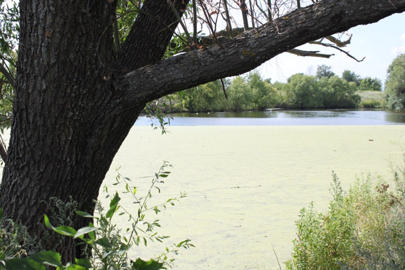 Дмитрий Рытов | Тамбов