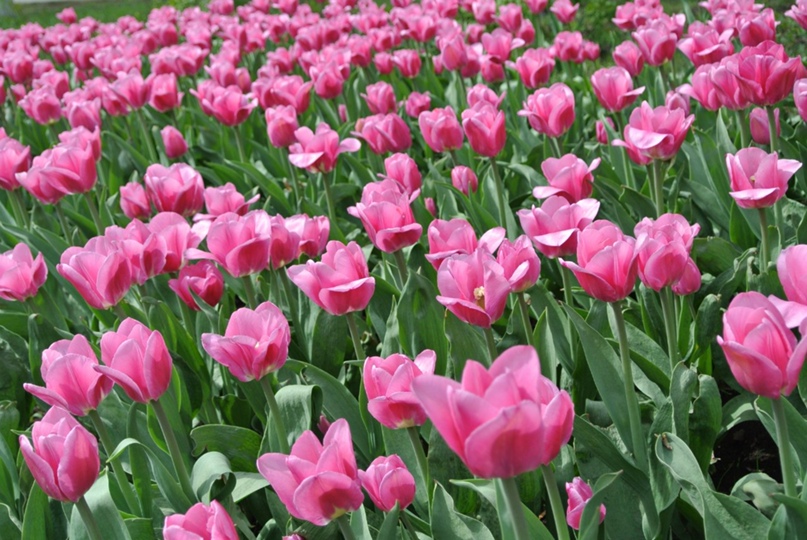 Екатерина Азанова | Уфа