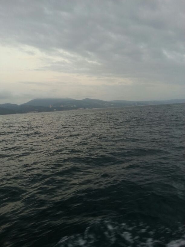 Ольга Толкачева | Москва