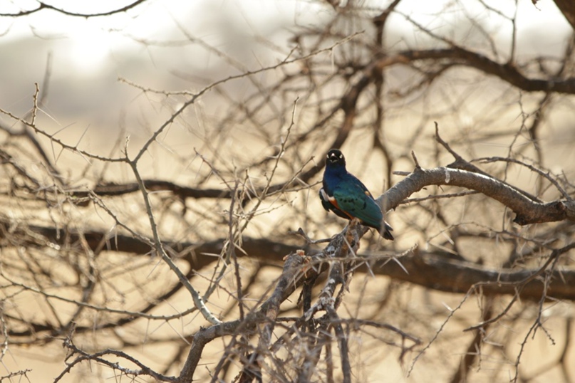 Наталия Жданова | Москва