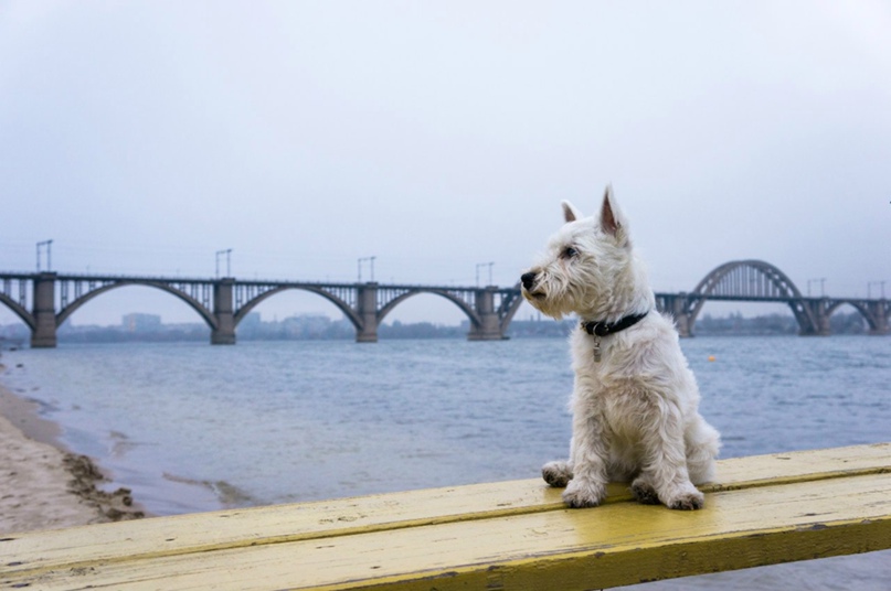Иван Бабенко | Днепр (Днепропетровск)