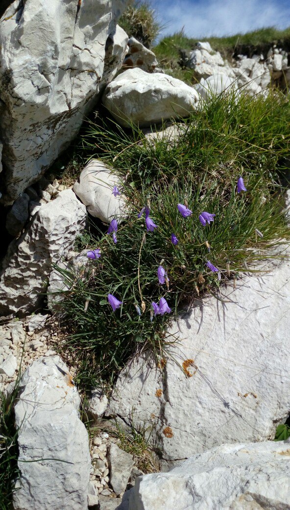 Наталья Юсупова | Пермь