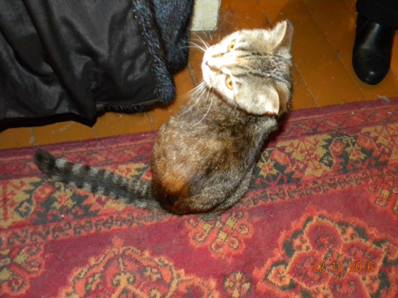 Екатерина Глазкова | Краснознаменск