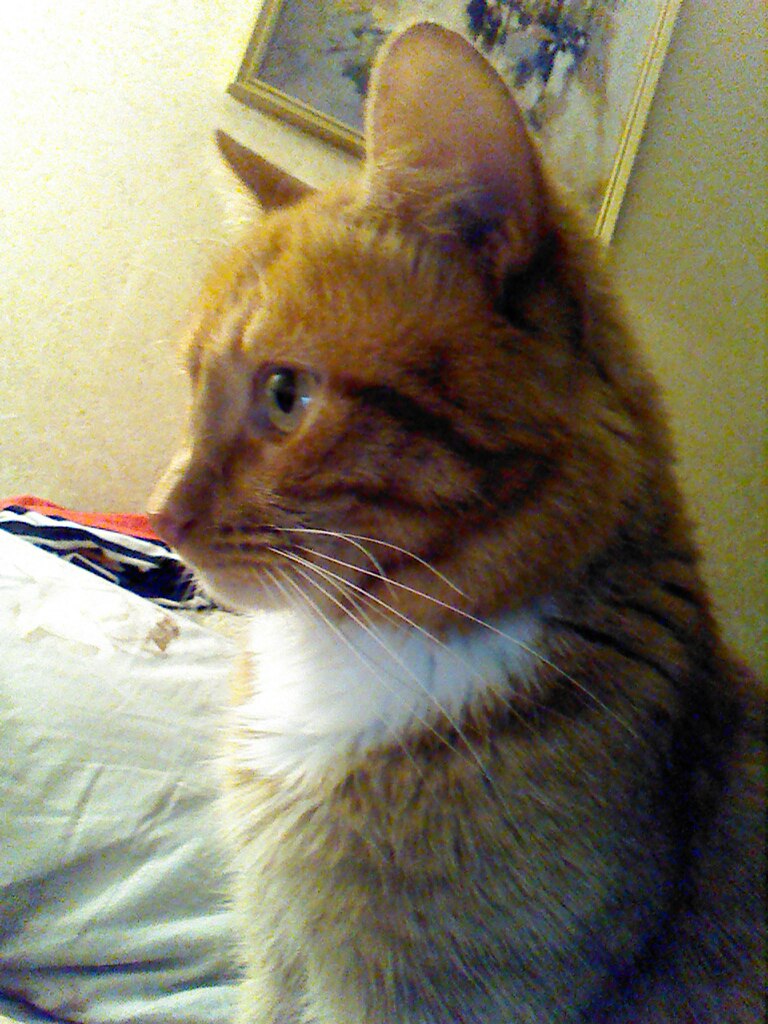 Галина Кудряшова | Смоленск