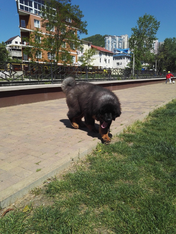 Елена Авраменко | Сочи