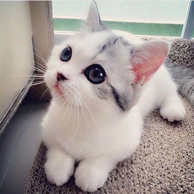 Алёна Москвина Сергеевна | Нефтекамск