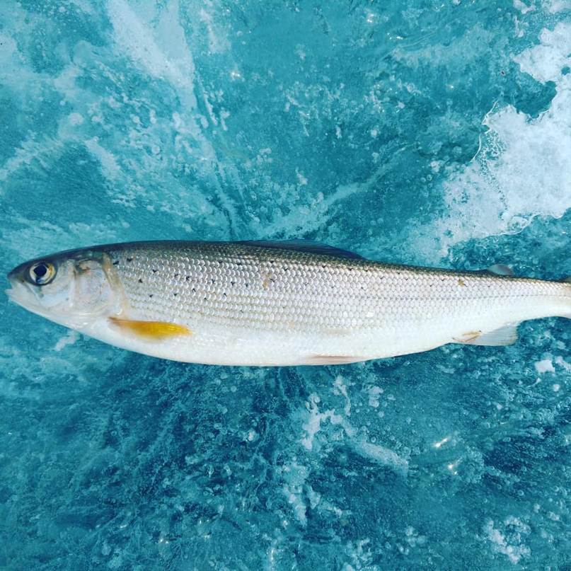 Артем Сафонов | Иркутск