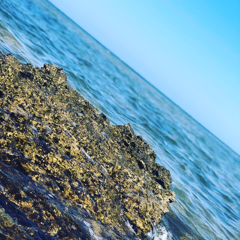 Екатерина Панюшина | Москва