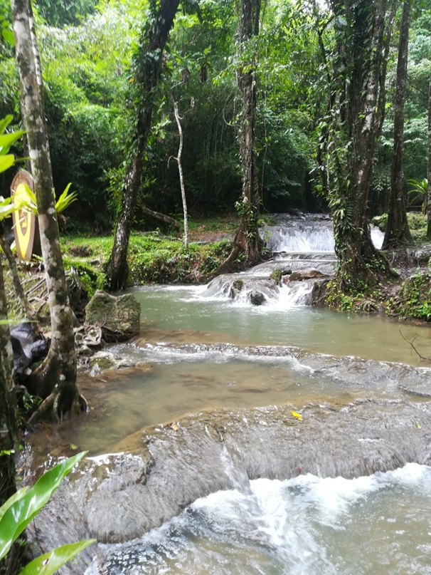 Елена Шадрина | Нижний Тагил
