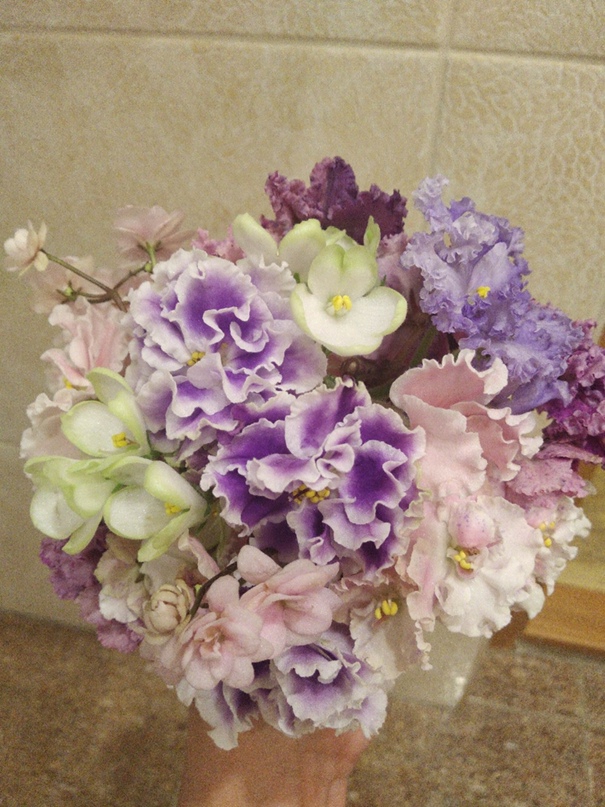 Елена Жбанова | Псков