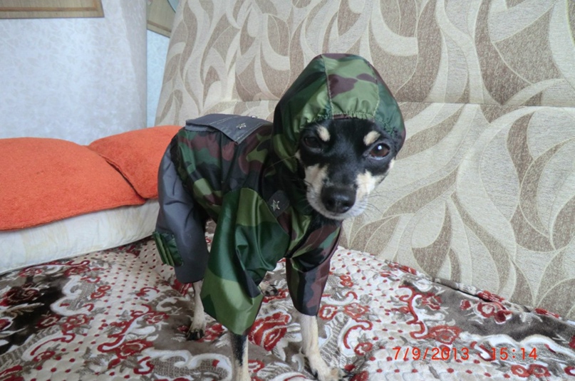 Шахин Мамедов ♥♥♥BaGiRa♥♥♥ | Москва