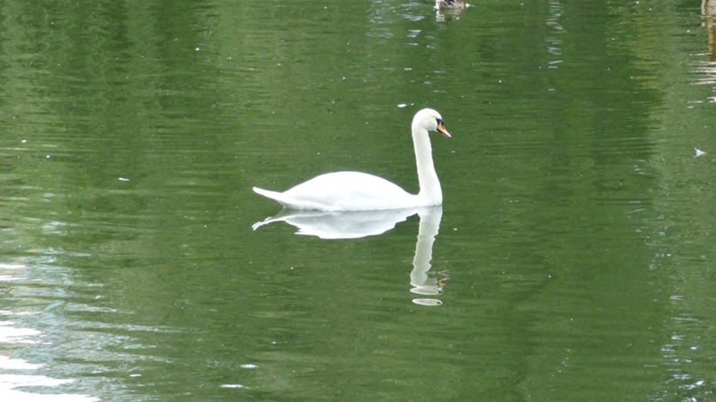 Мария Сезенина | Нижневартовск