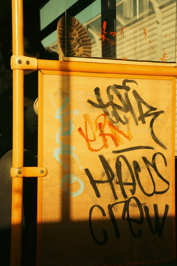 Анастасия Белозерова | Харьков