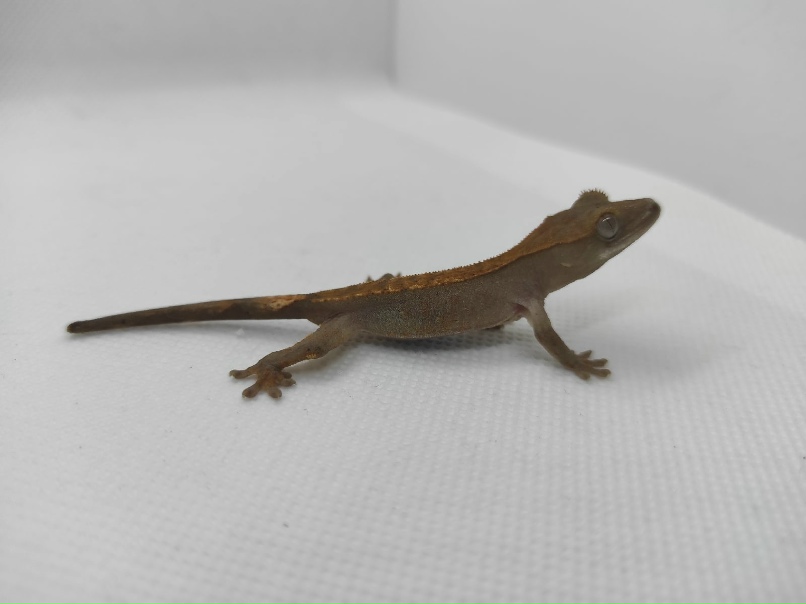 Наталья Мартыненко | Ростов-на-Дону