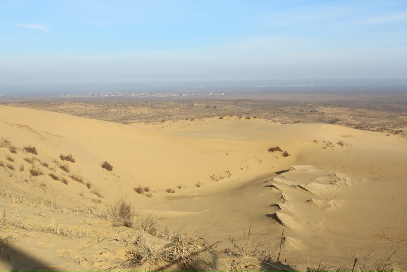 Наталья Дорофеева |