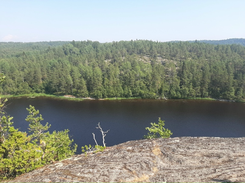 Анна Лисина | Нижний Новгород