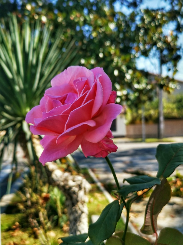 Дмитрий Шолохов | Санкт-Петербург