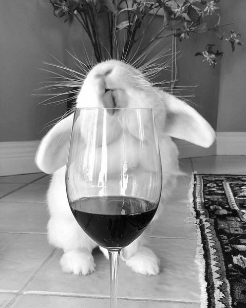 Арина Барышникова | Челябинск