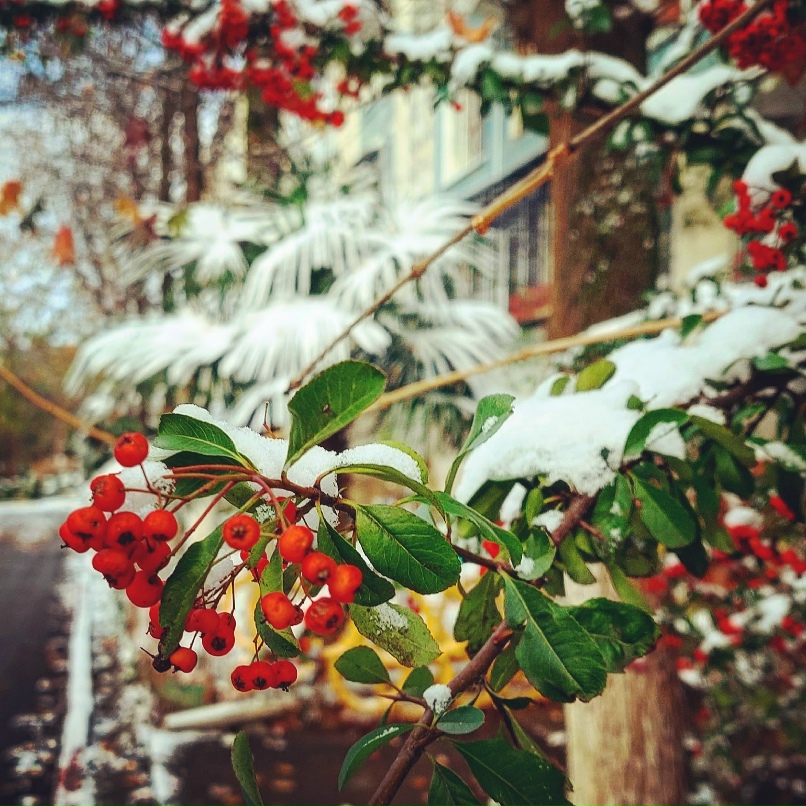 Ольга Заболоцкая | Сочи