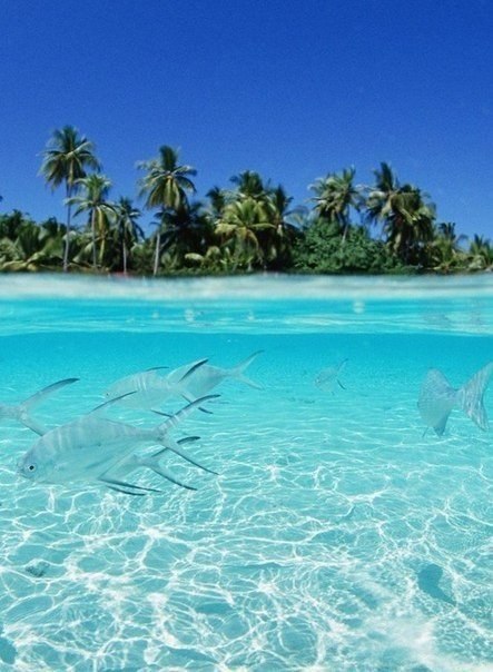 Катерина Зуева | Санкт-Петербург