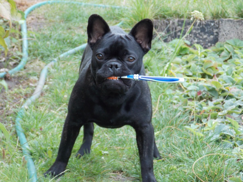 Елена Филоненко | Запорожье