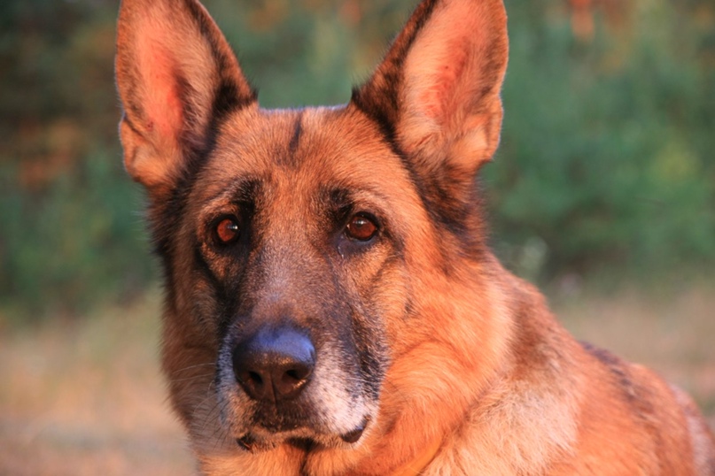 Юлия Ловцова | Москва