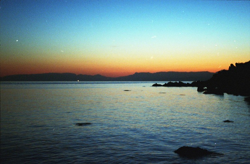 Елена Лаврикова |