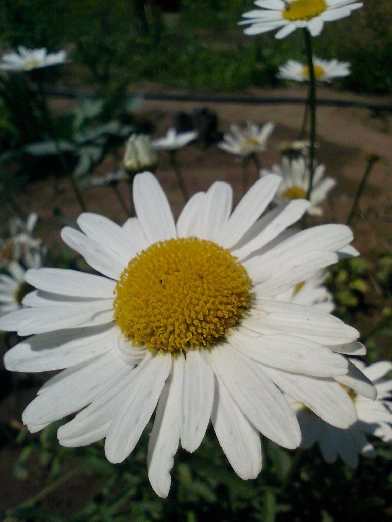 Евгений Чертков -=WL=- |