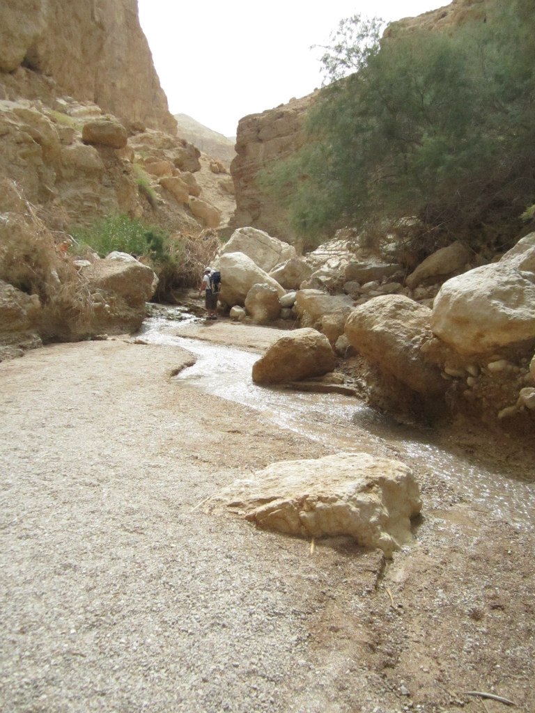 Александра Прохорова | Киев