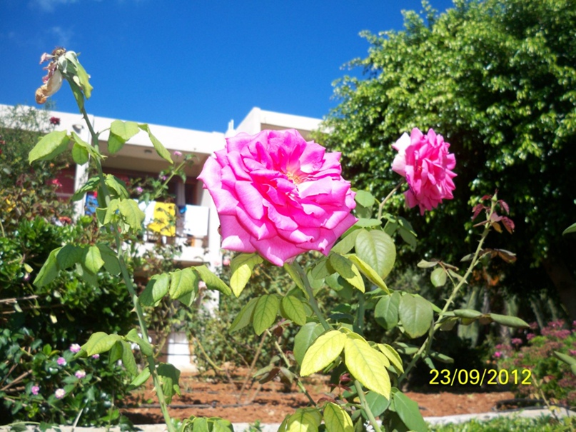 Мария Дубровская | Самара