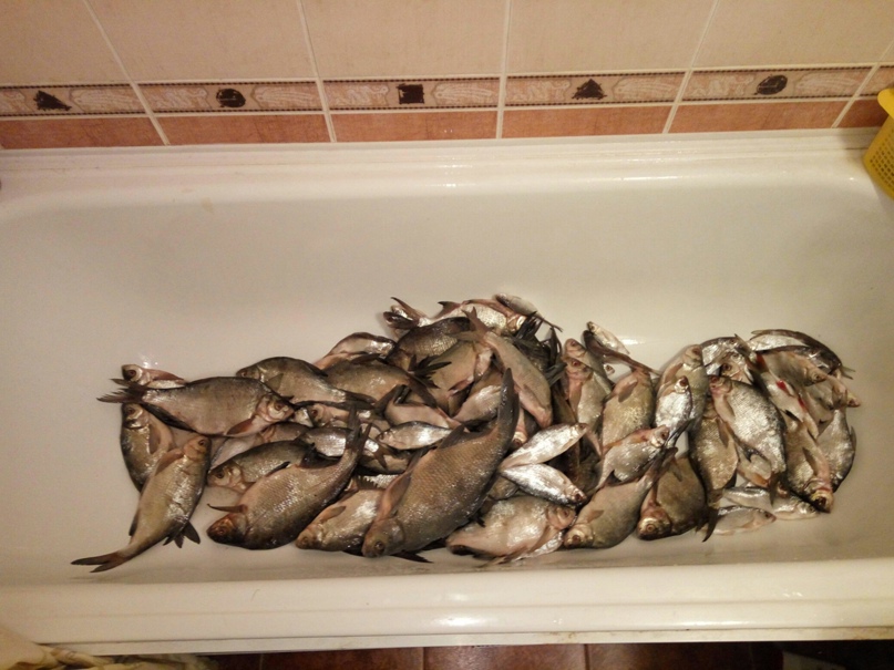 Алексей Баранов | Воронеж