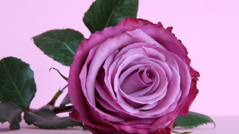 Ирина Петрова | Уфа