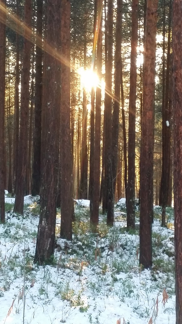 Алексей Ежов | Ярославль